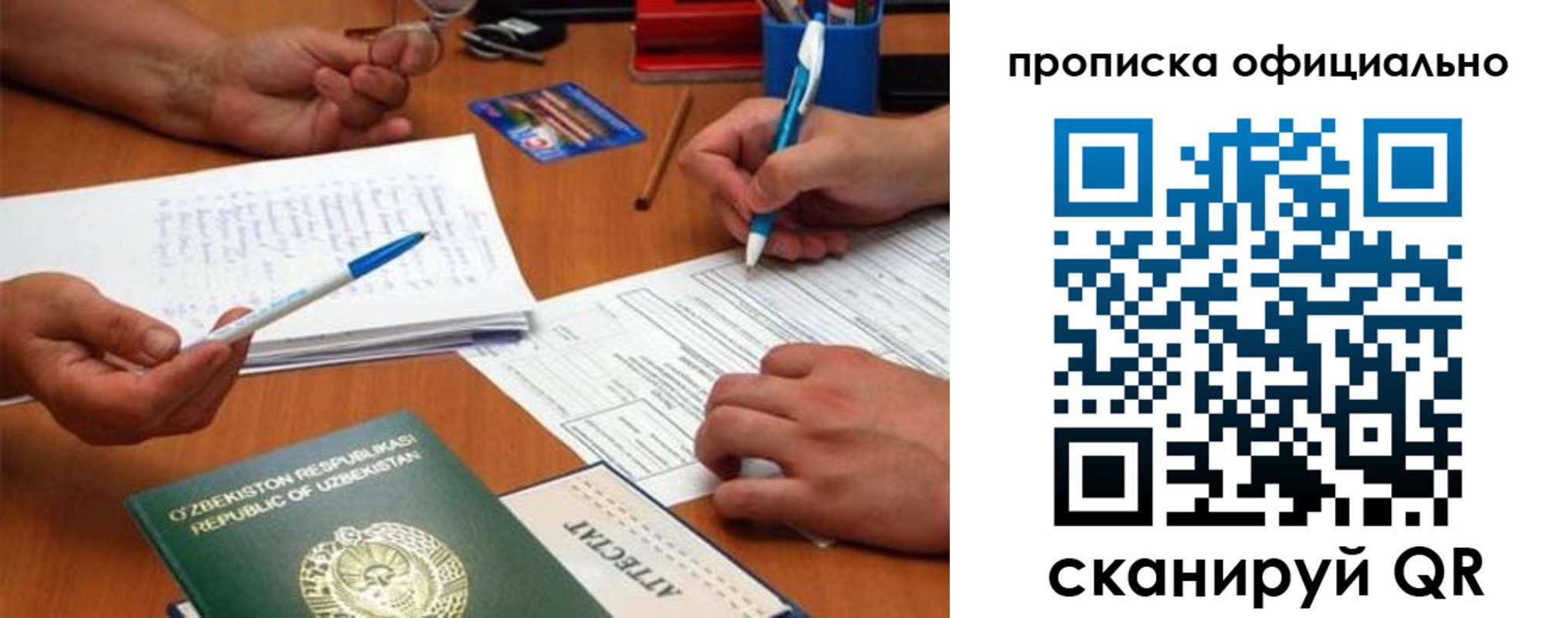 прописка поиск в Палласовке